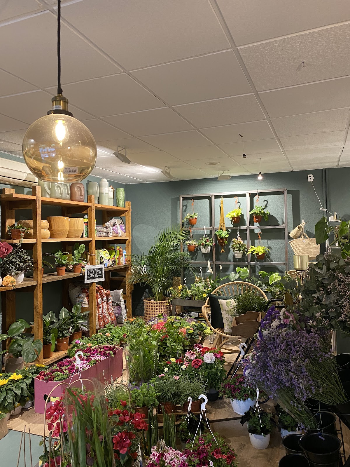 Interior de la floristeria PlantArte con plantas, flores y estanterias de cesteria